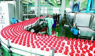 山东首康食品工程技术科技公司 一站式信息技术解决方案，助力饮料与酿造厂高效落地